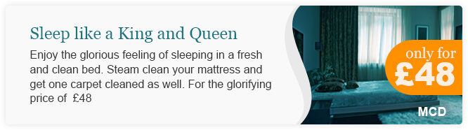 Steam Mattress Cleaning on the Cheap