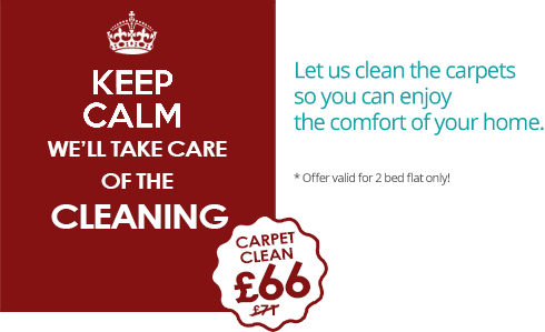 Special Offer on Carpet Cleaning