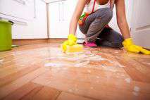 Top Tips For a Successful Spring Clean in Elephant and Castle