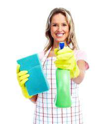 Who Can Help You With The Dusting in Bayswater?