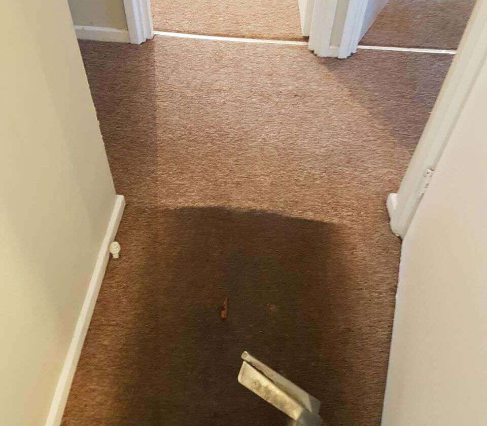 West London Carpet Cleaning