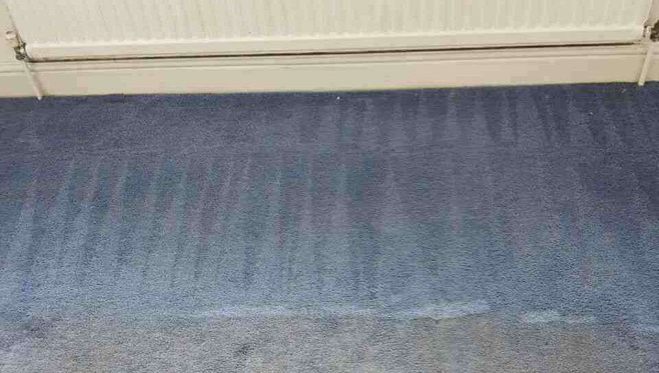 cleaners carpet Abbey Wood office carpet cleaners