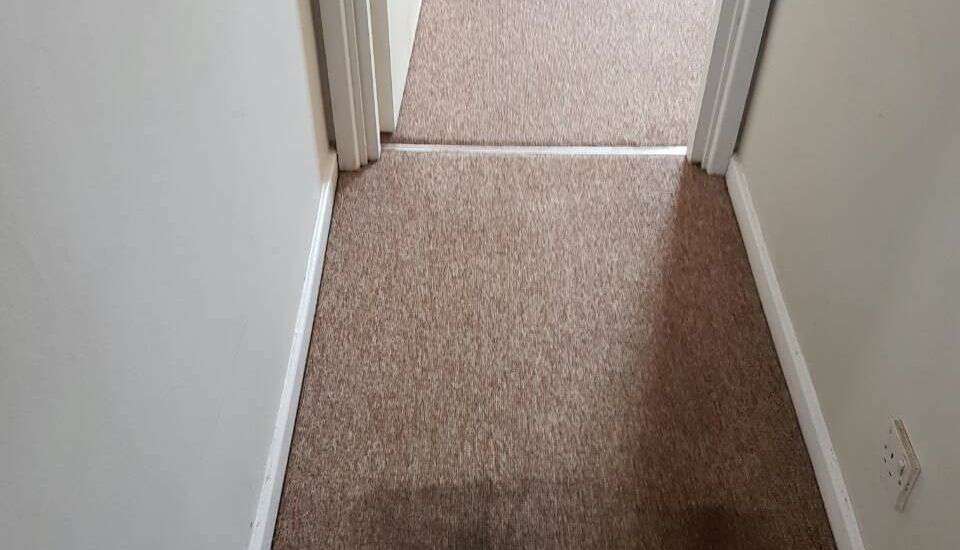 cleaners carpet Upton Park office carpet cleaners