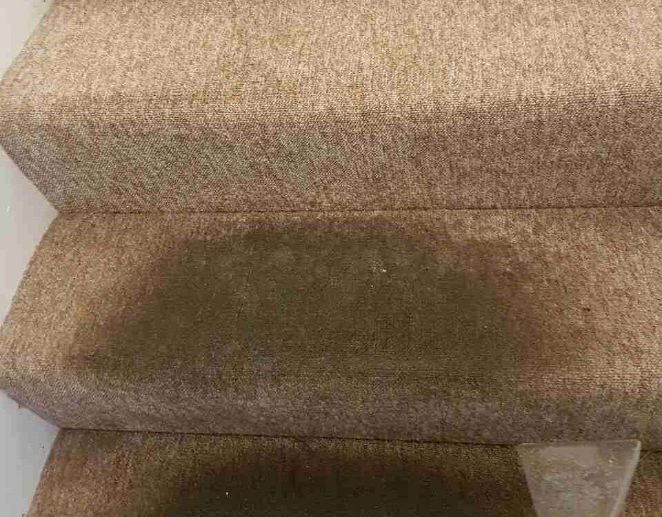 Peckham house cleaning SE15