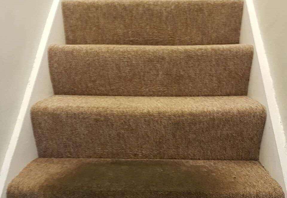 cleaners carpet Swanley office carpet cleaners