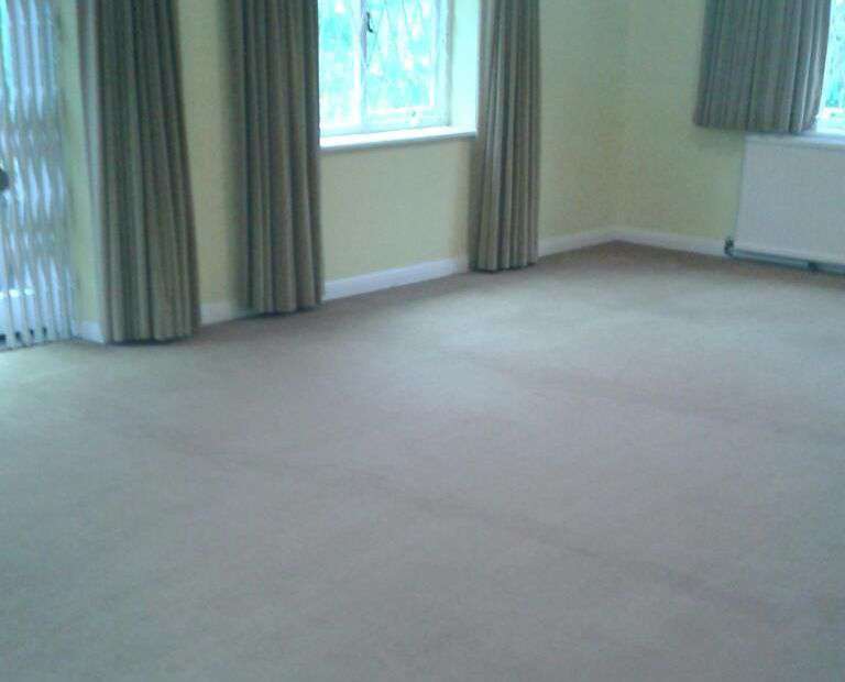 cleaners carpet Alexandra Park office carpet cleaners