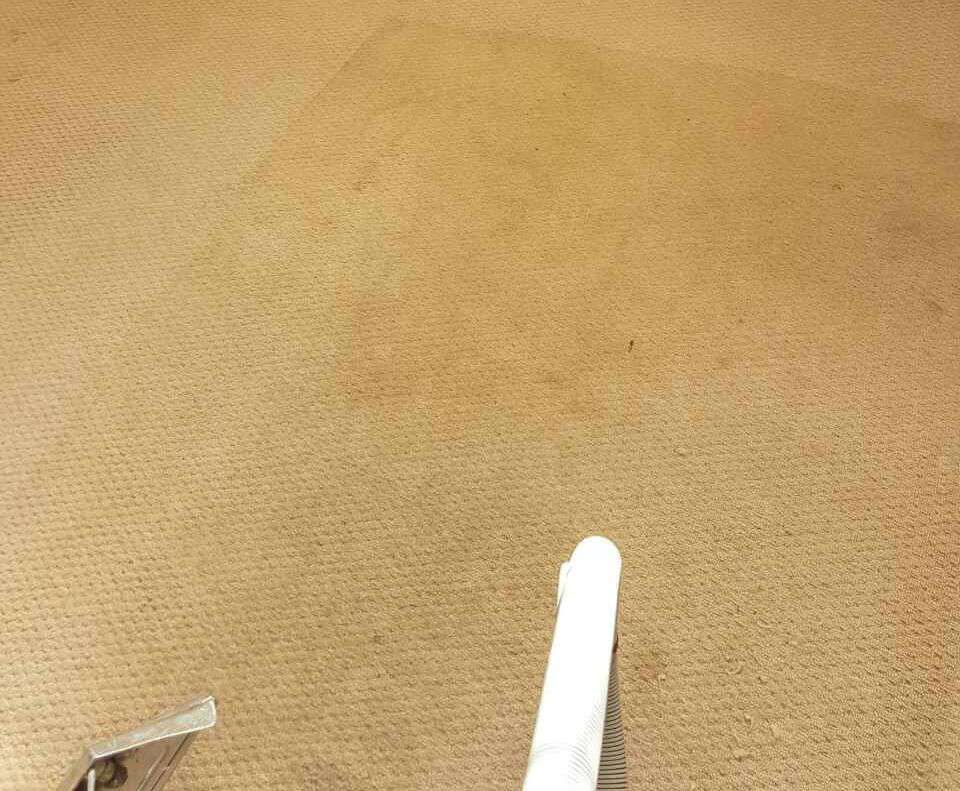 Windsor house cleaning  TW18