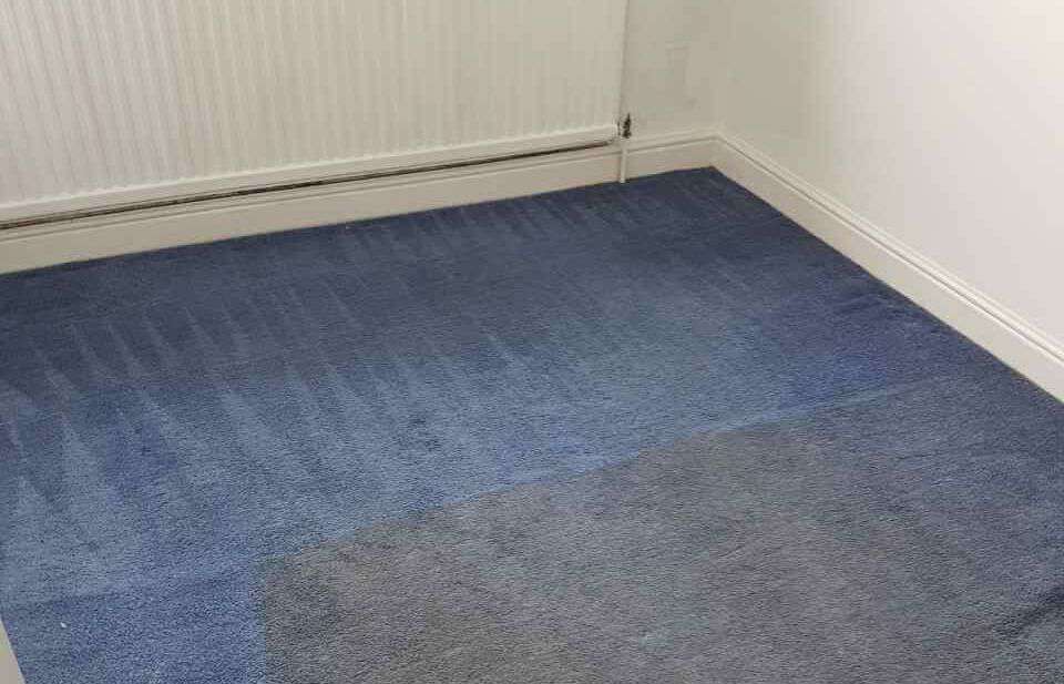 domestic carpet cleaning SE20
