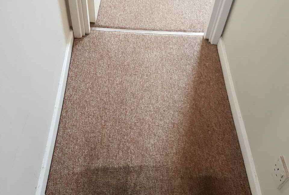 domestic carpet cleaning NW2