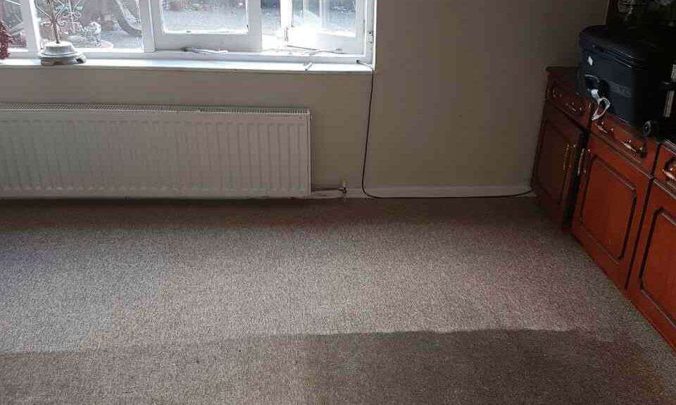 domestic carpet cleaning NW3