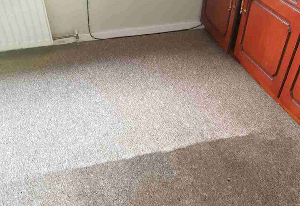 domestic carpet cleaning SW6