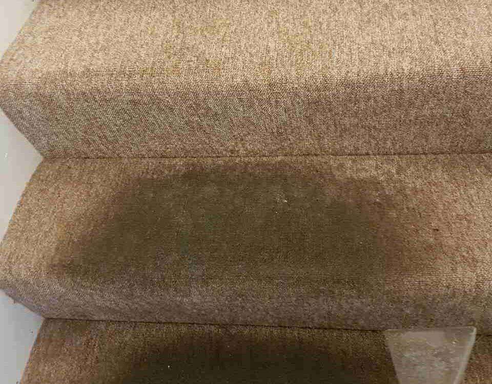 floor clean SW6 office carpet cleaning