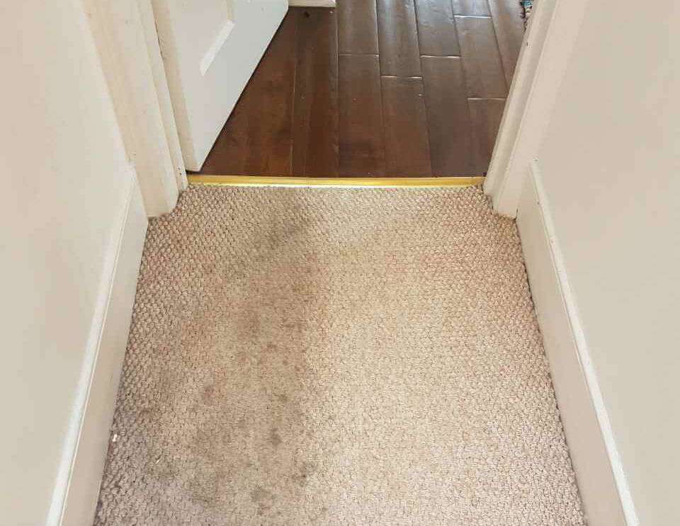 domestic carpet cleaning SE16