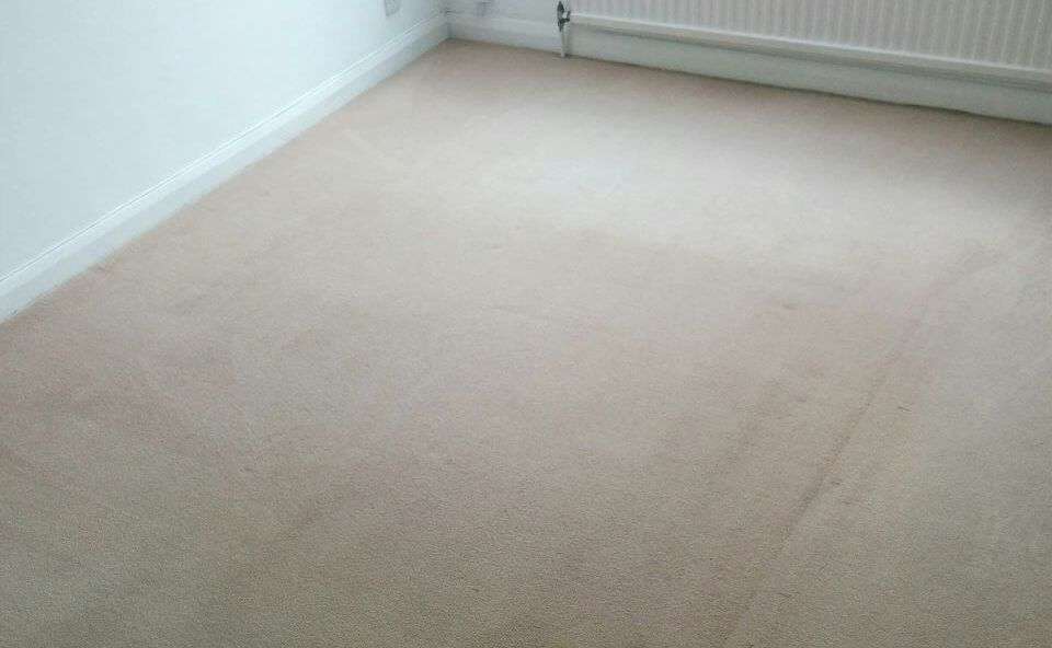 floor clean E1 office carpet cleaning