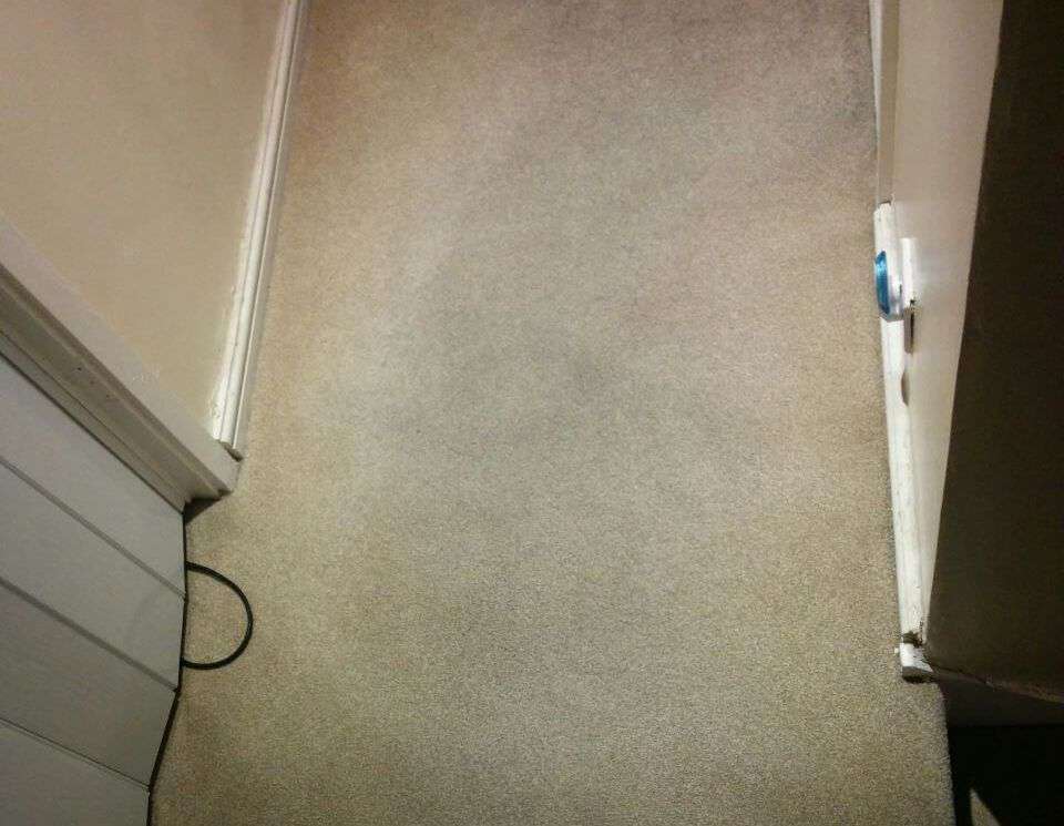 floor clean E2 office carpet cleaning