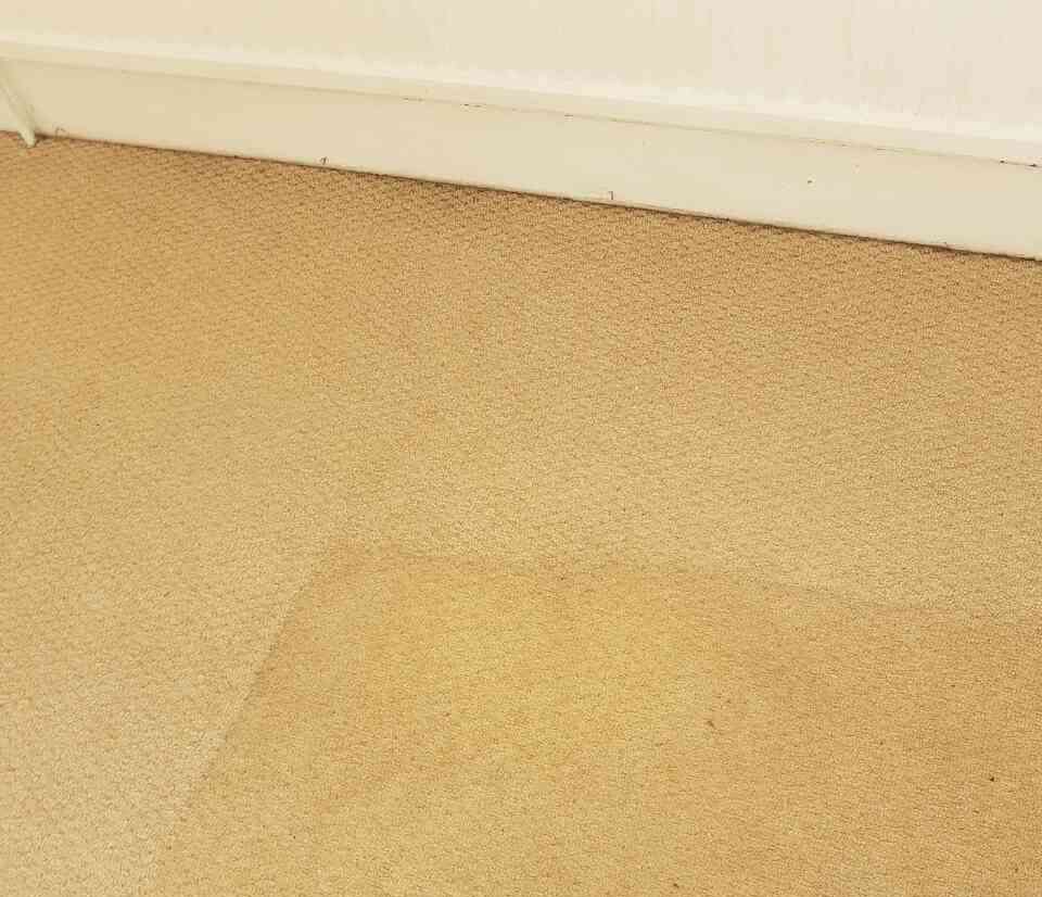 domestic carpet cleaning TW12