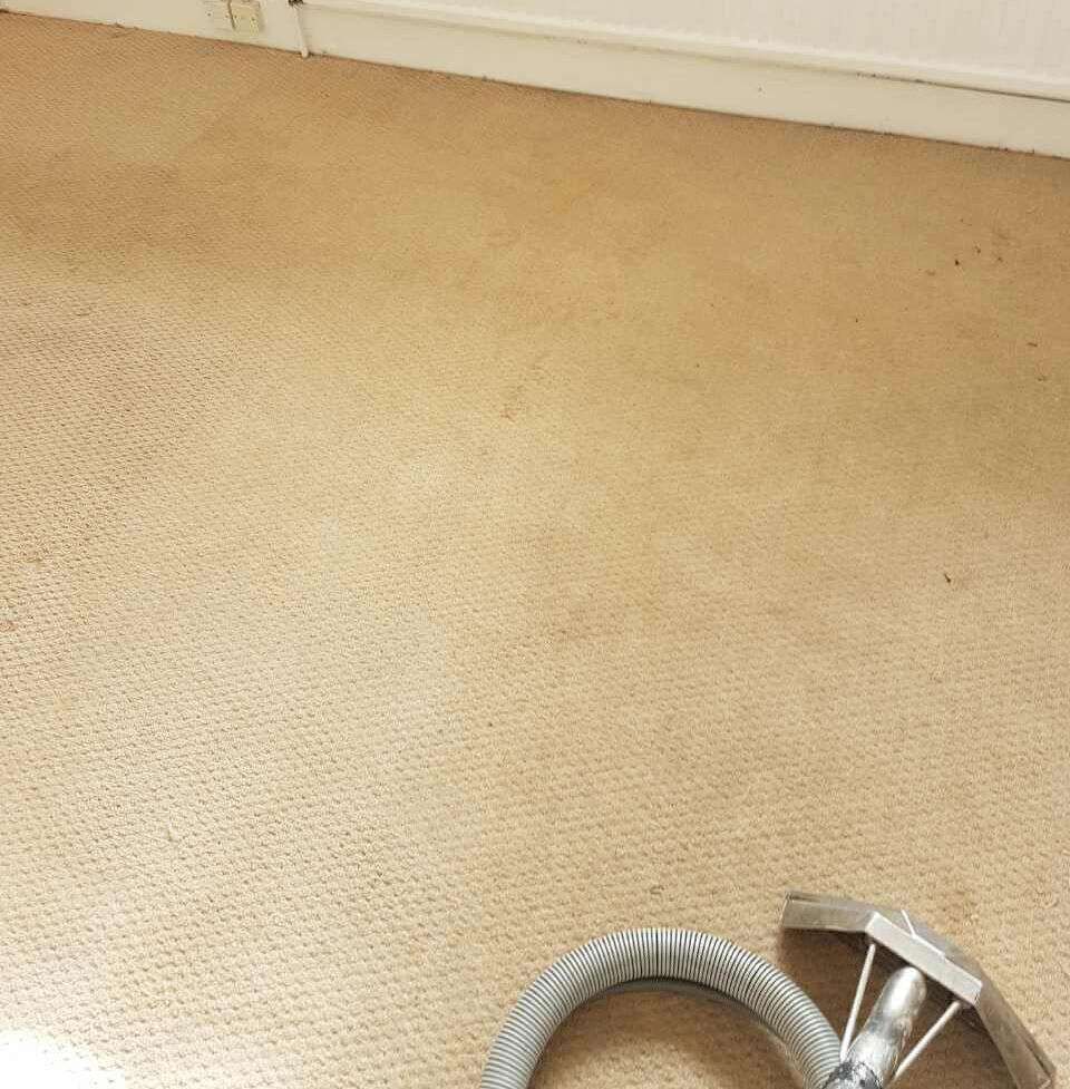 floor clean UB10 office carpet cleaning