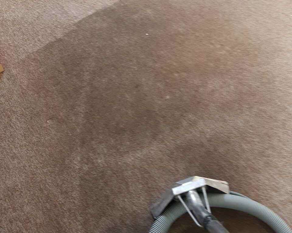 domestic carpet cleaning NW10