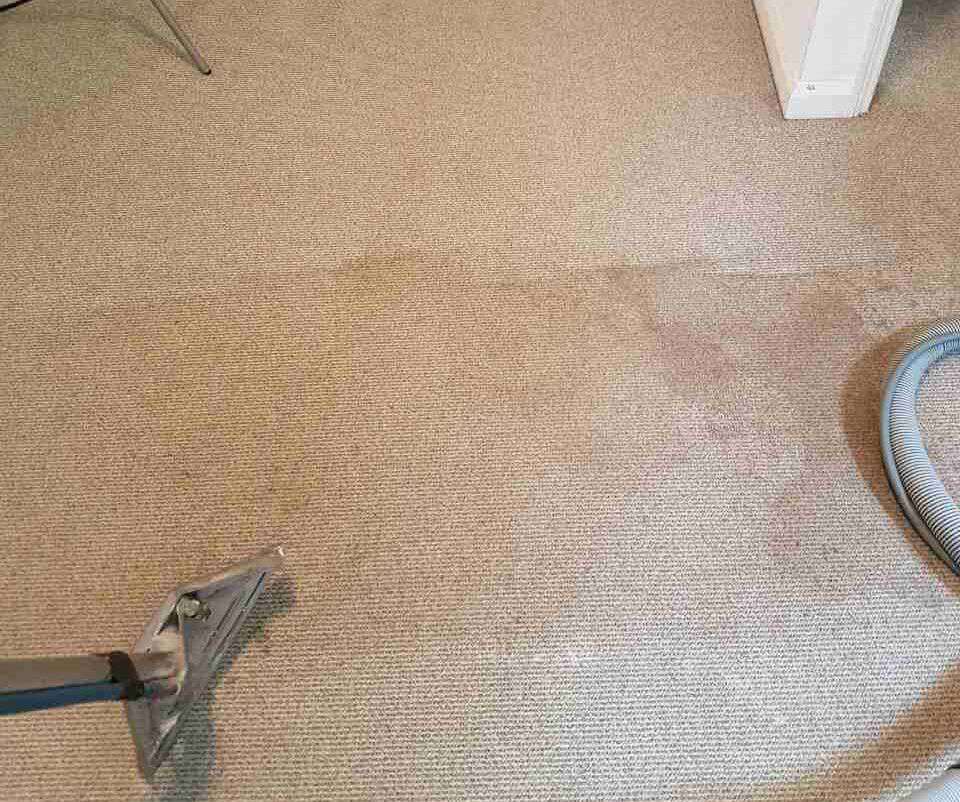 floor clean WD2 office carpet cleaning