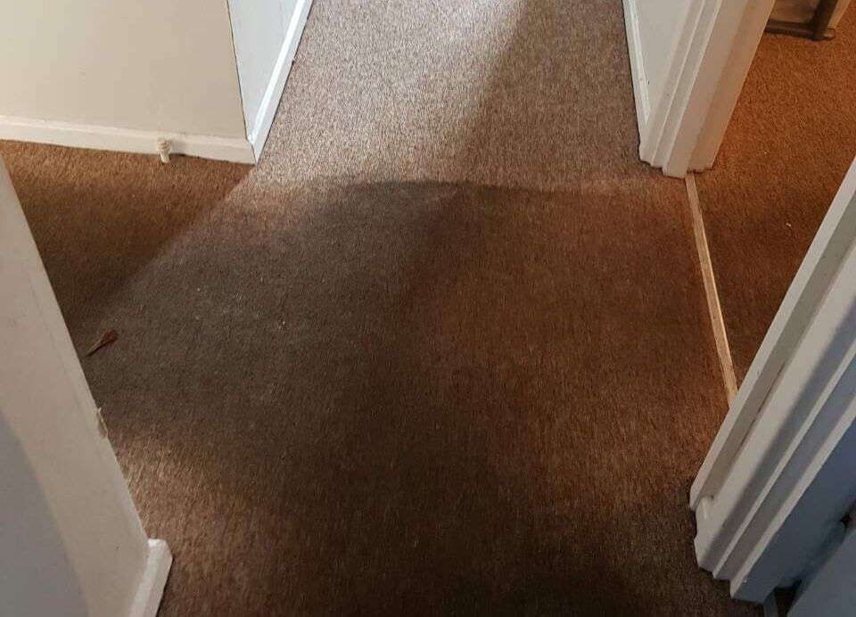 domestic carpet cleaning SW11