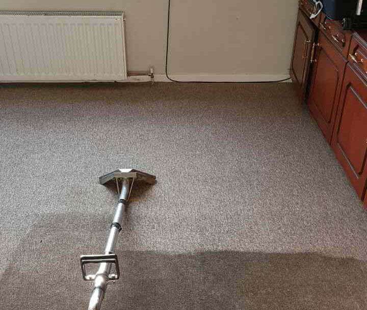 domestic carpet cleaning W6