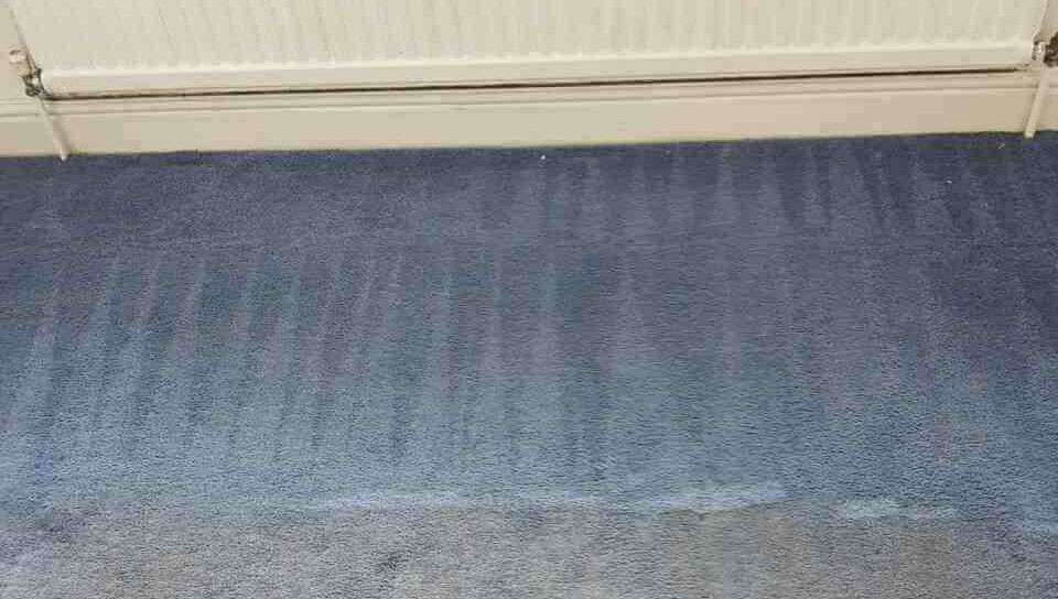 Harringay rugs cleaning N4 