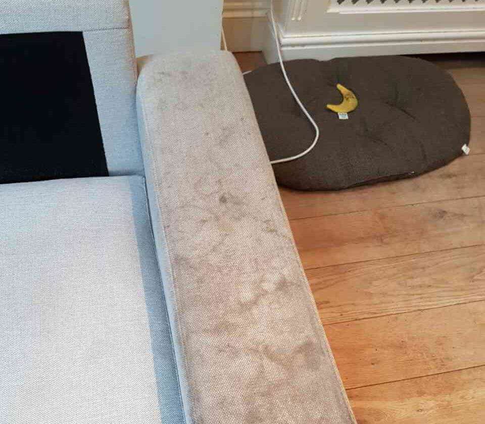 Turnpike Lane rugs cleaning N8