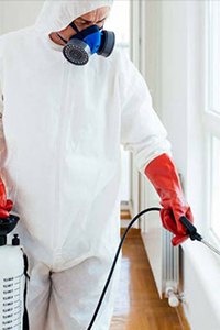 Carpet Cleaning London